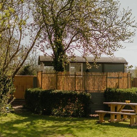 Little England Retreats - Cottage, Yurt And Shepherd Huts Othery Exterior foto